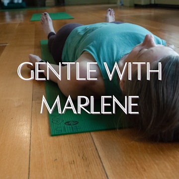 Gentle with Marlene 