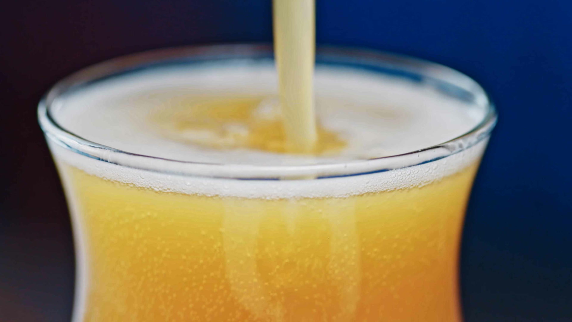 Burgers and Beers: Assembly Required IPA (Forbidden Root Brewing)