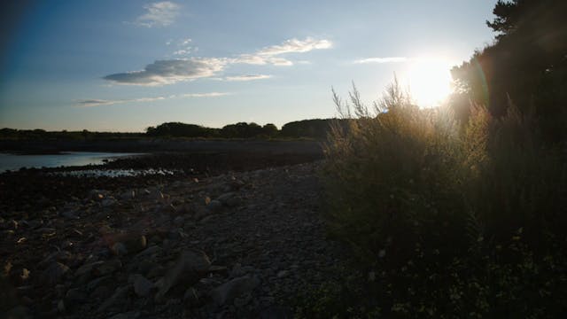 More on New Hampshire