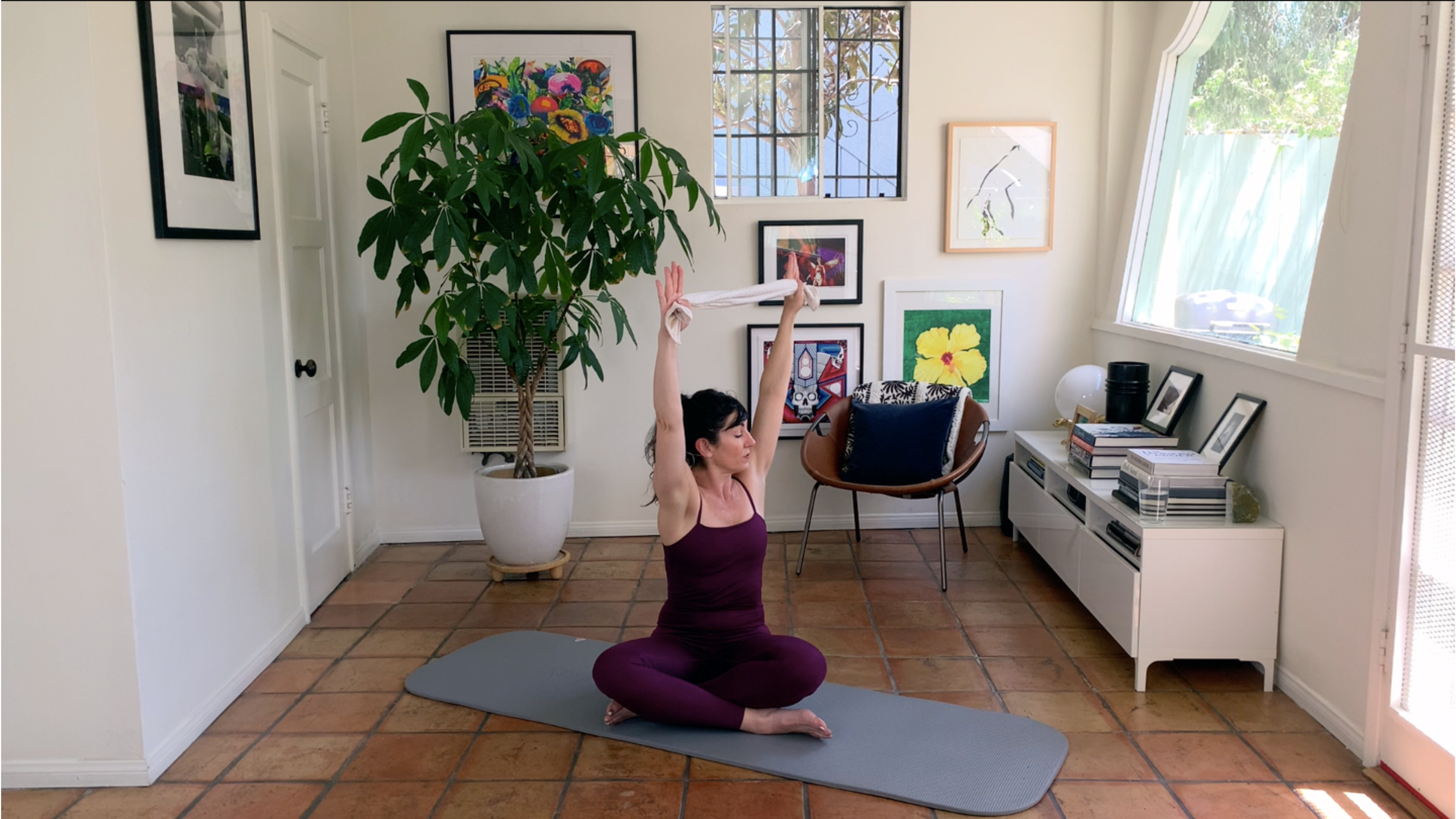 Thoracic Mobility w/ Towel