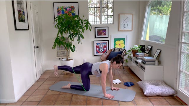 Hip Mobilization w/ Theraband