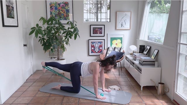 Theraband Challenge