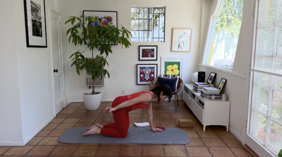 15min Shoulders and Weights