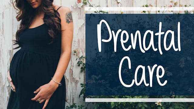 Prenatal Care: Pregnancy & Birth Pack...