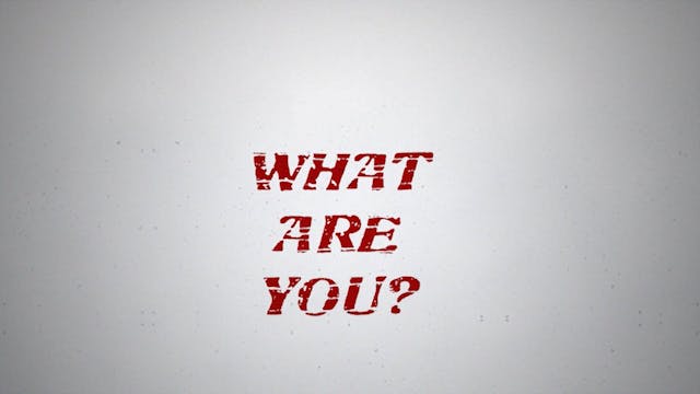 Built To Lead: Built to Lead 0872- Be...