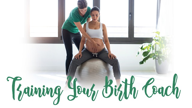 Labor and Delivery: Training Your Birth Coach: Pregnancy & Birth Pack (PB-0610)