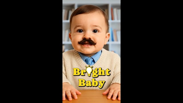 BrightBaby: The Effects of Smoking an...