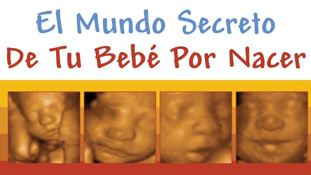 El Mundo Secreto De Tu Bebé Por Nacer...