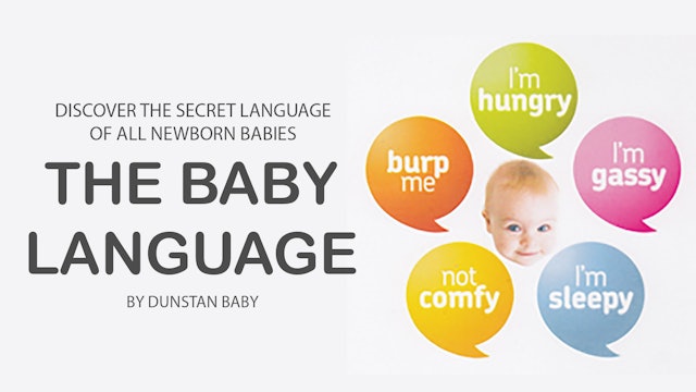 Dunstan Baby Lesson 2 - FY-0585