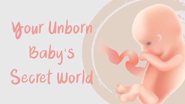 Your Unborn Baby's Secret World (PB-0568)