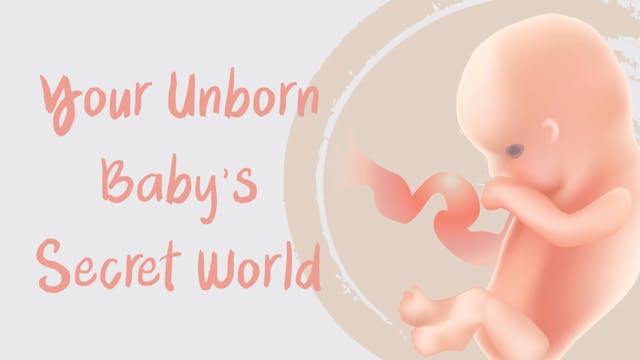 Your Unborn Baby's Secret World (PB-0...