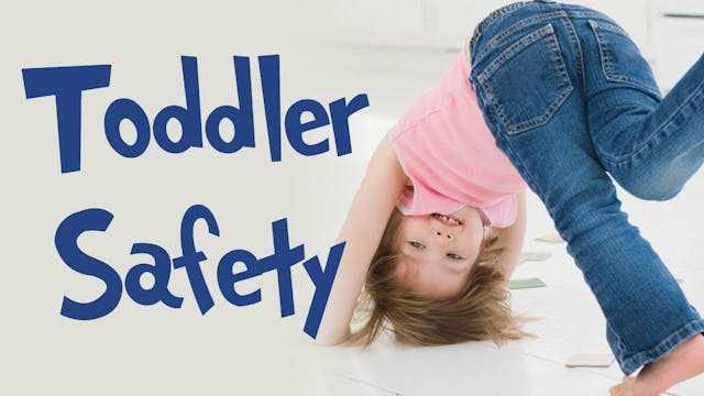 Toddler Safety: Toddler Pack (TP-0328)