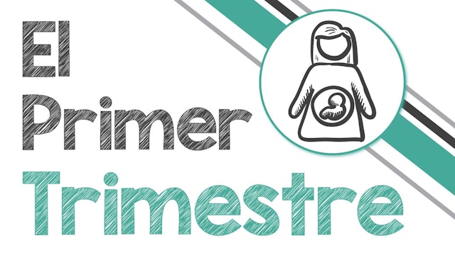 El Primer Trimestre (Your First Trimester) (PBS-0398)