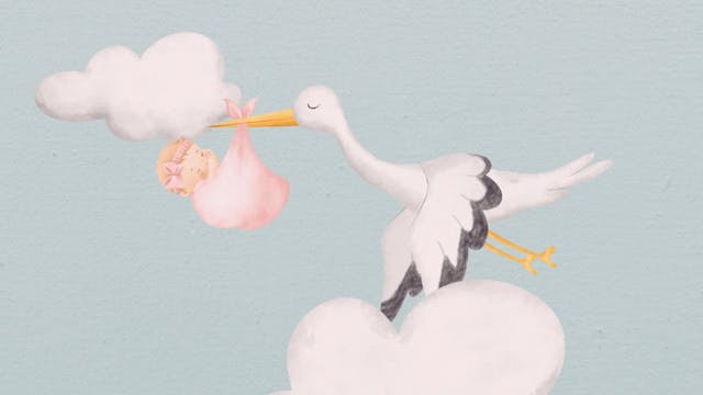 Pregnancy and Birth: Premature Infant...