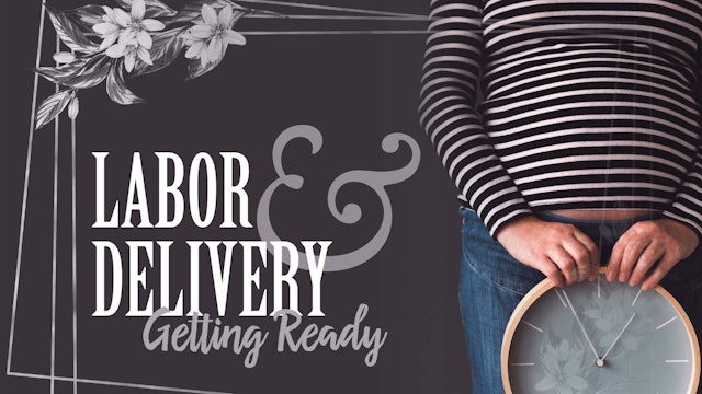 Labor and Delivery: Getting Ready: Pregnancy & Birth Pack (PB-0589)