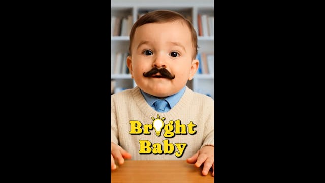 BrightBaby: Stages of Pregnancy - Pre...
