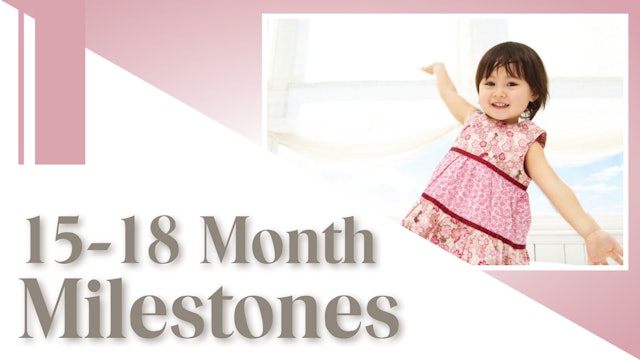 15-18 Month Milestones: Toddler Pack (TP-0113)