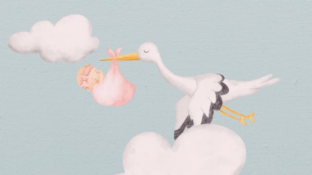 Pregnancy and Birth: Navigating the N...