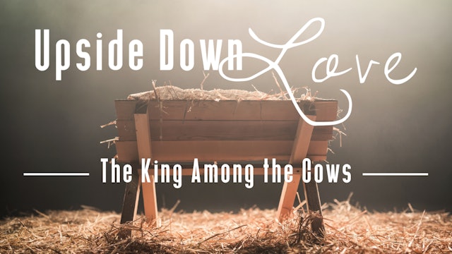 Upside Down Love Lesson 3: The King Among the Cows: Bible Study Pack (BS-0628)