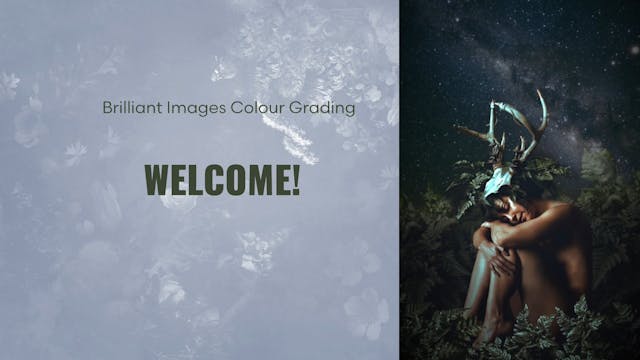 Colour Grading Course