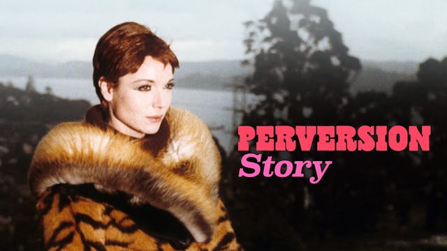 Perversion Story
