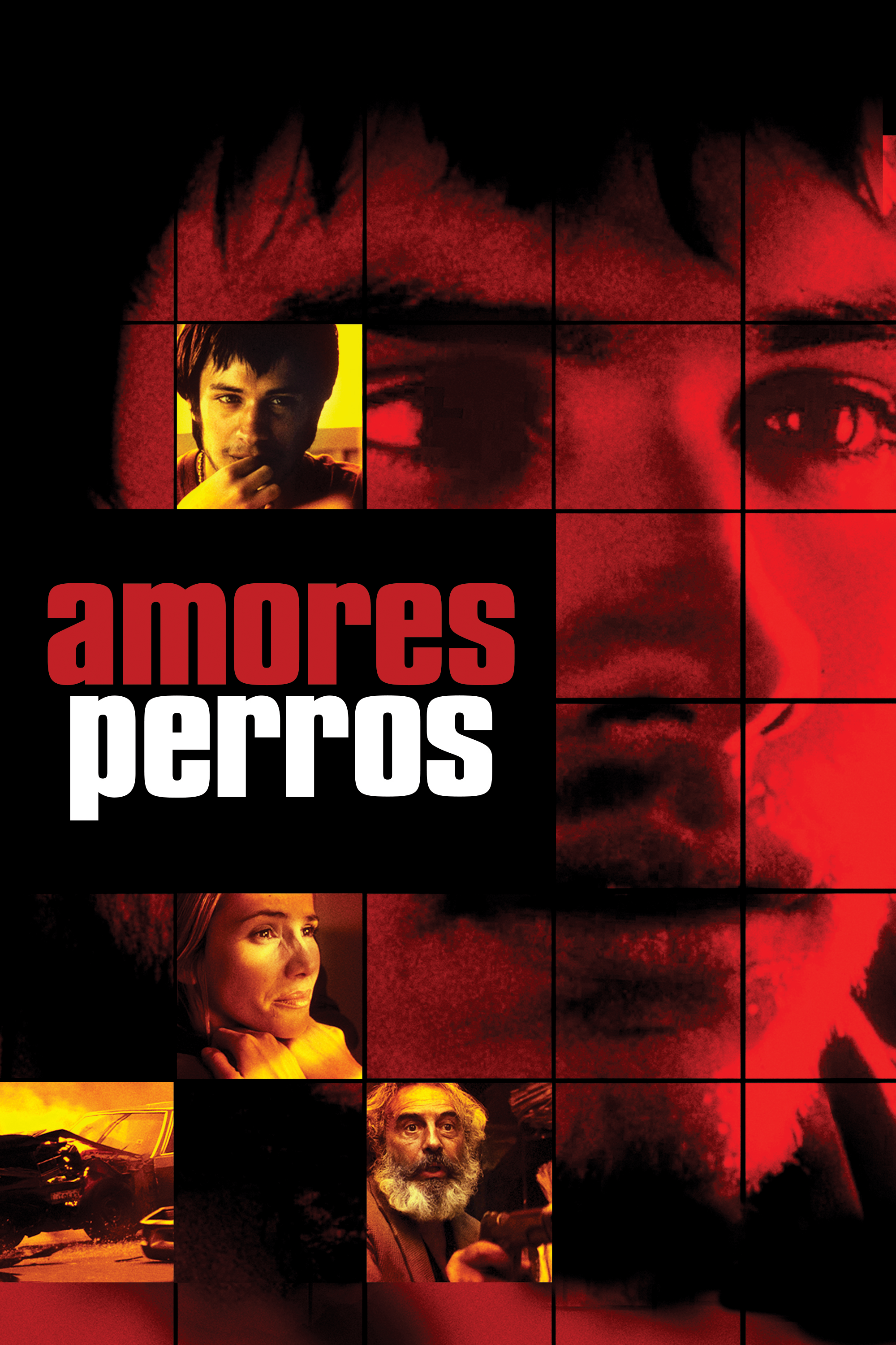 Amores perros