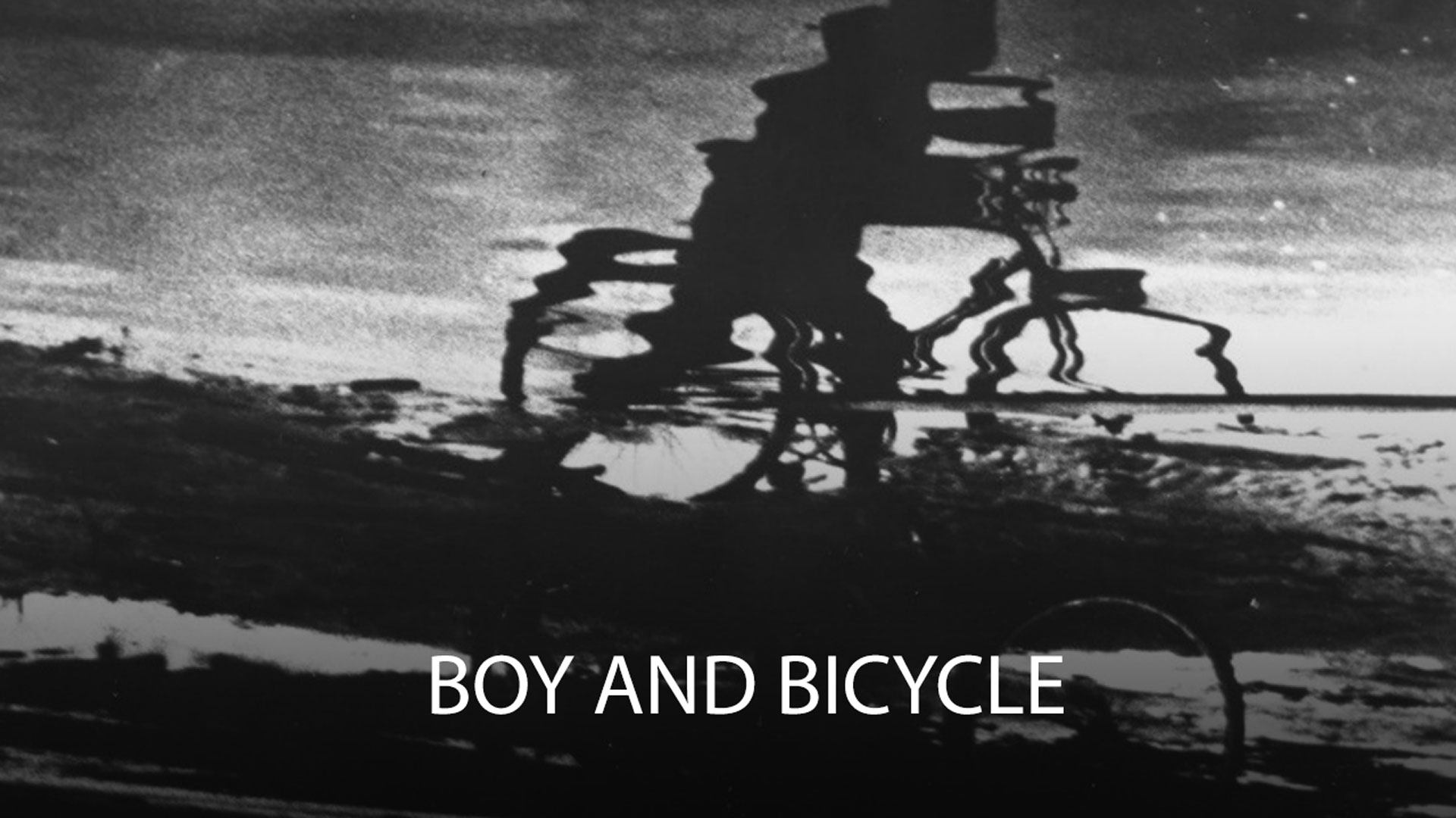 Boy and Bicycle