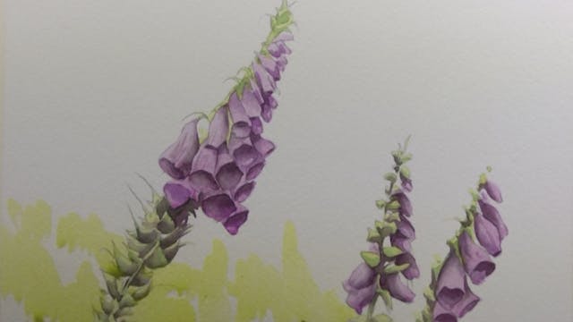 Woolley's Watercolour - Flowers in Wa...