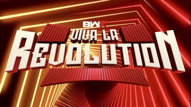VIVA LA REVOLUTION 
