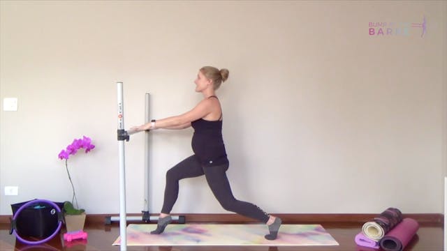 Prenatal Cardio Barre (Prenatal Barre 4)