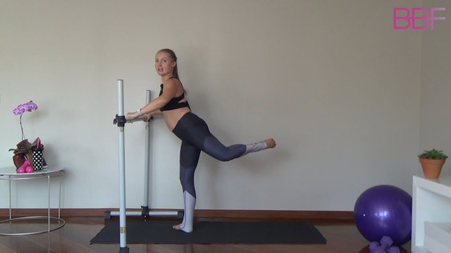 Barre for Flexibility 