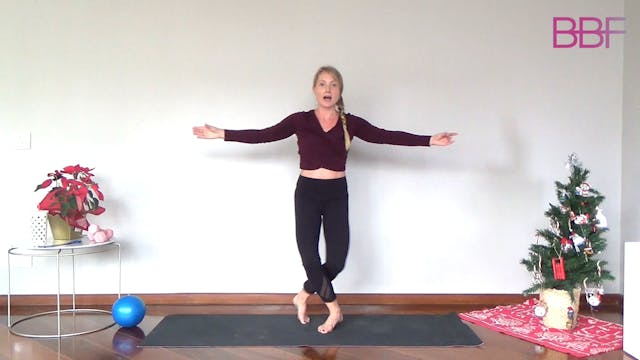 Signature Power Barre