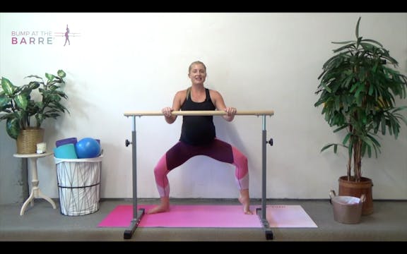 Prenatal Barre 5