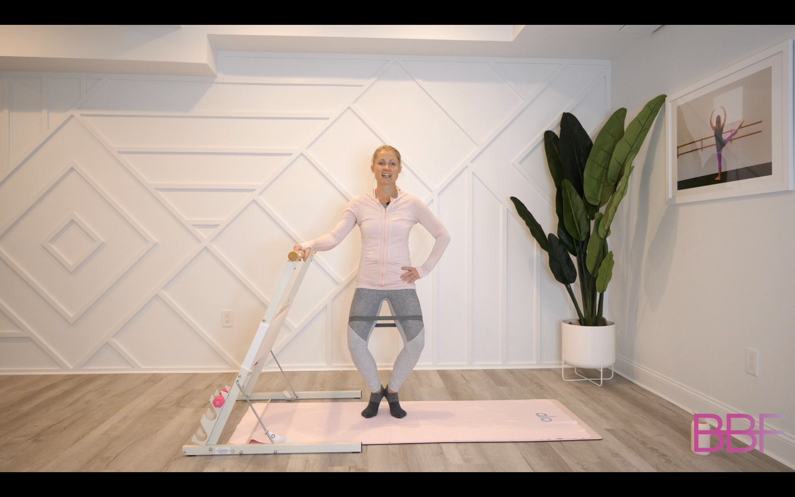 Signature Barre (Prenatal Friendly)