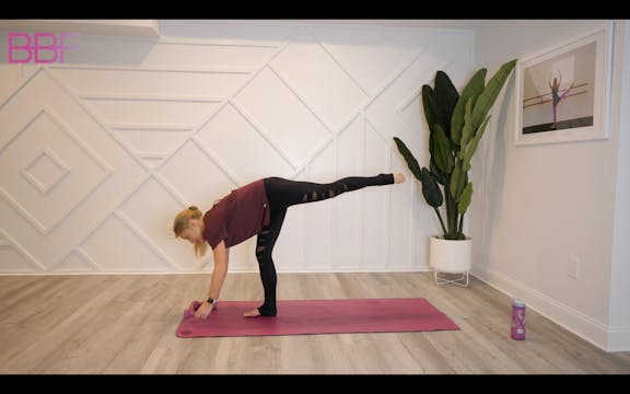 Signature Power Barre 10