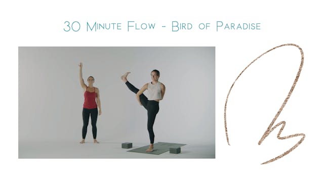 30 Minute Flow - Bird of Paradise