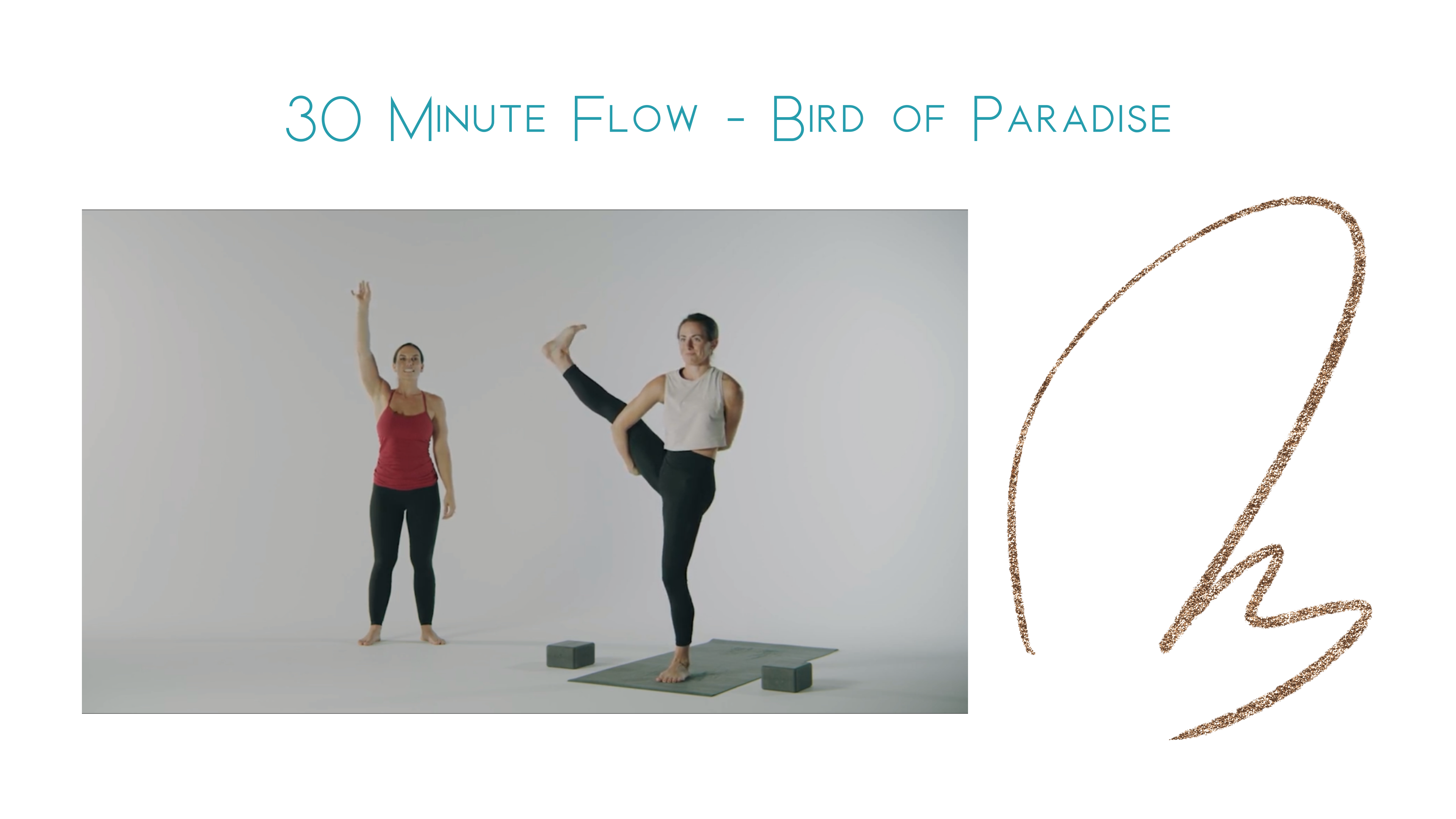 Bird of Paradise Yoga Pose: Master the Pose with These 4 Beginner-Friendly  Moves