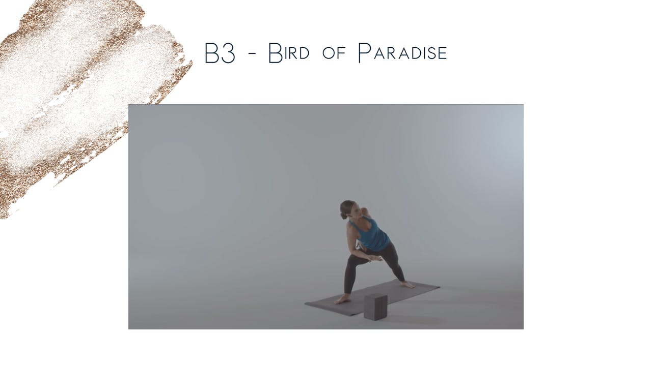 B3 - Bird of Paradise