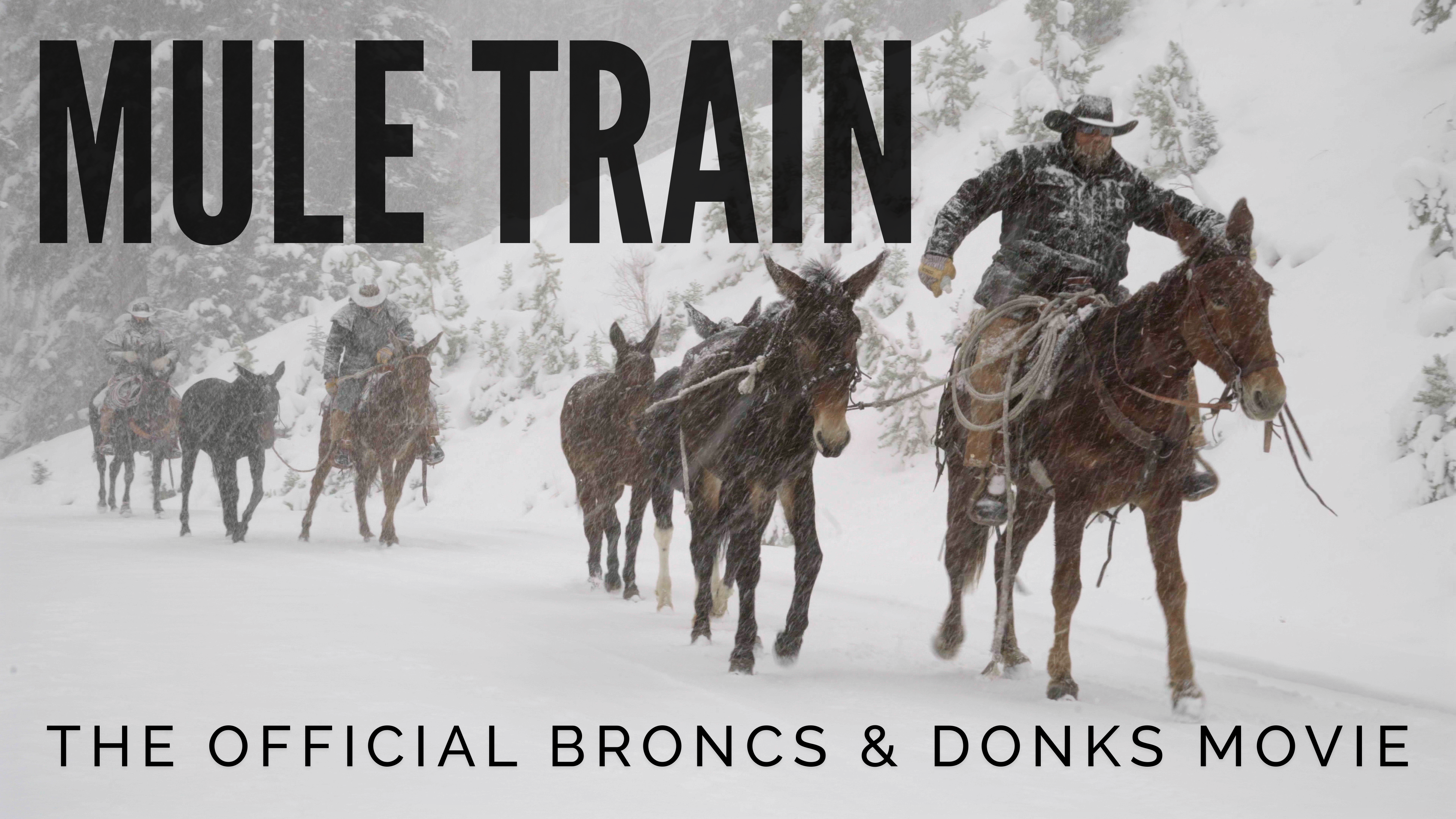 Mule Train