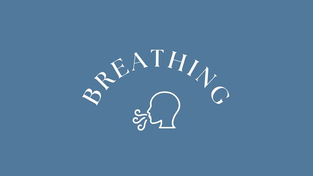 Freeing Rib Cage & Torso Breathing