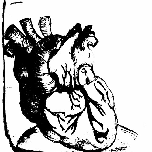 Cycles II: Dichterliebe Re-Imagined Artist Bios