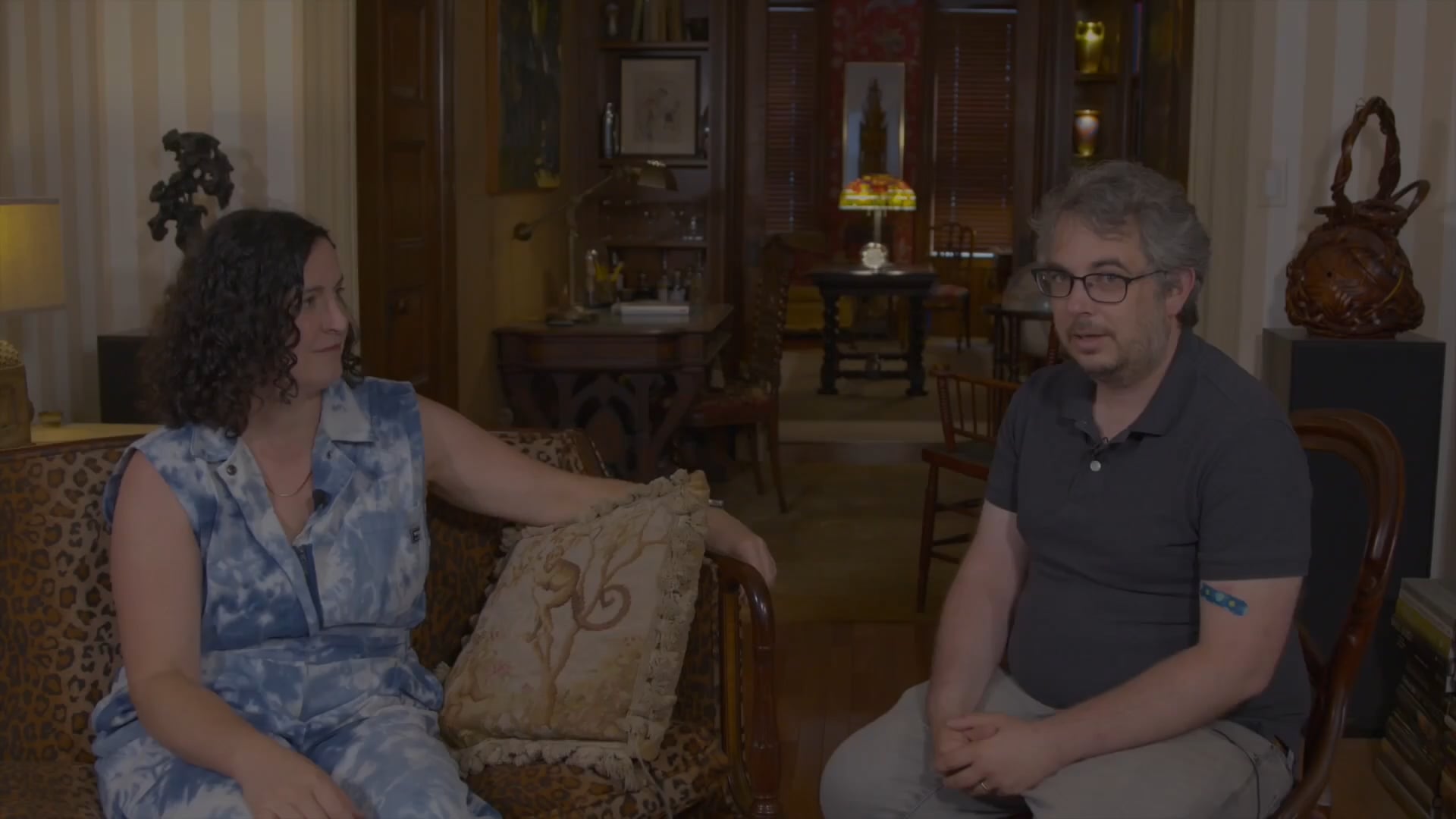 Histories V: The Viennese School Artist Interview