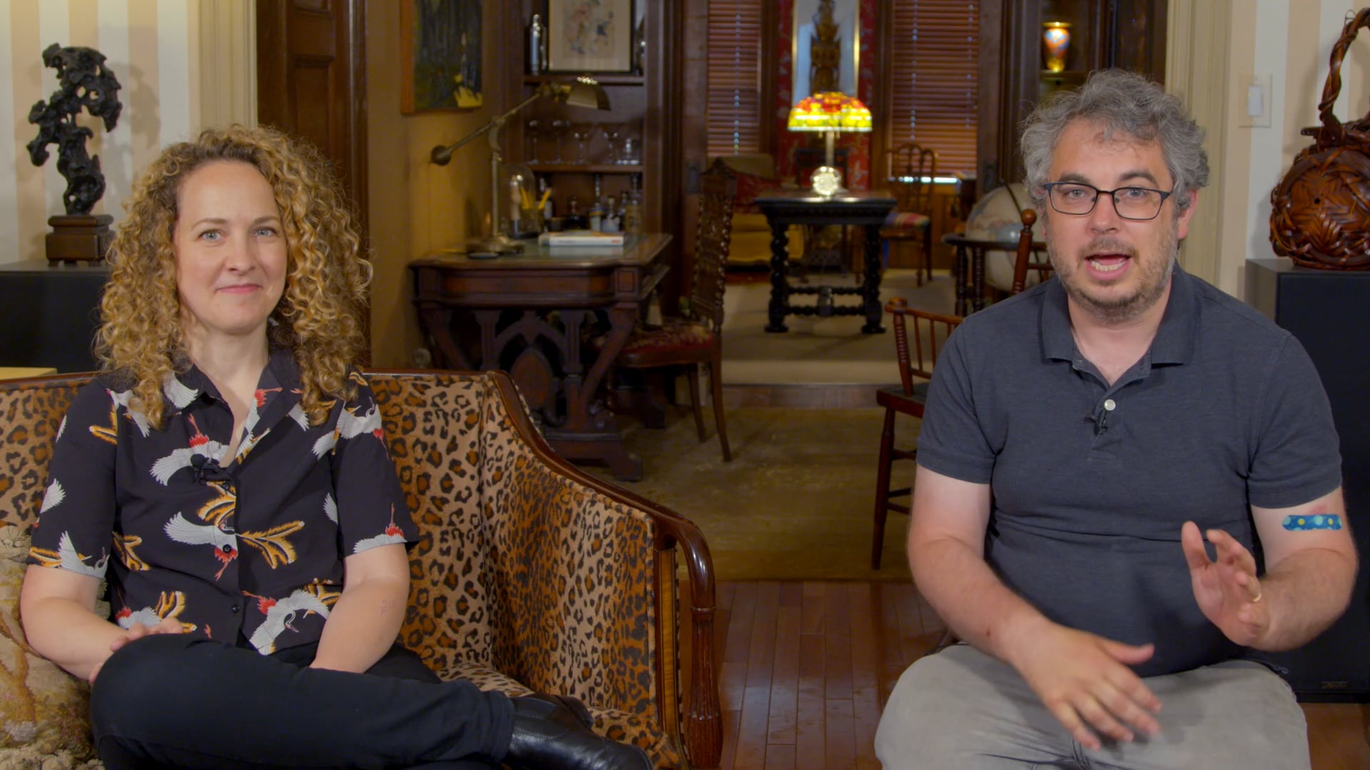 Histories VI: Goethe Artist Interview