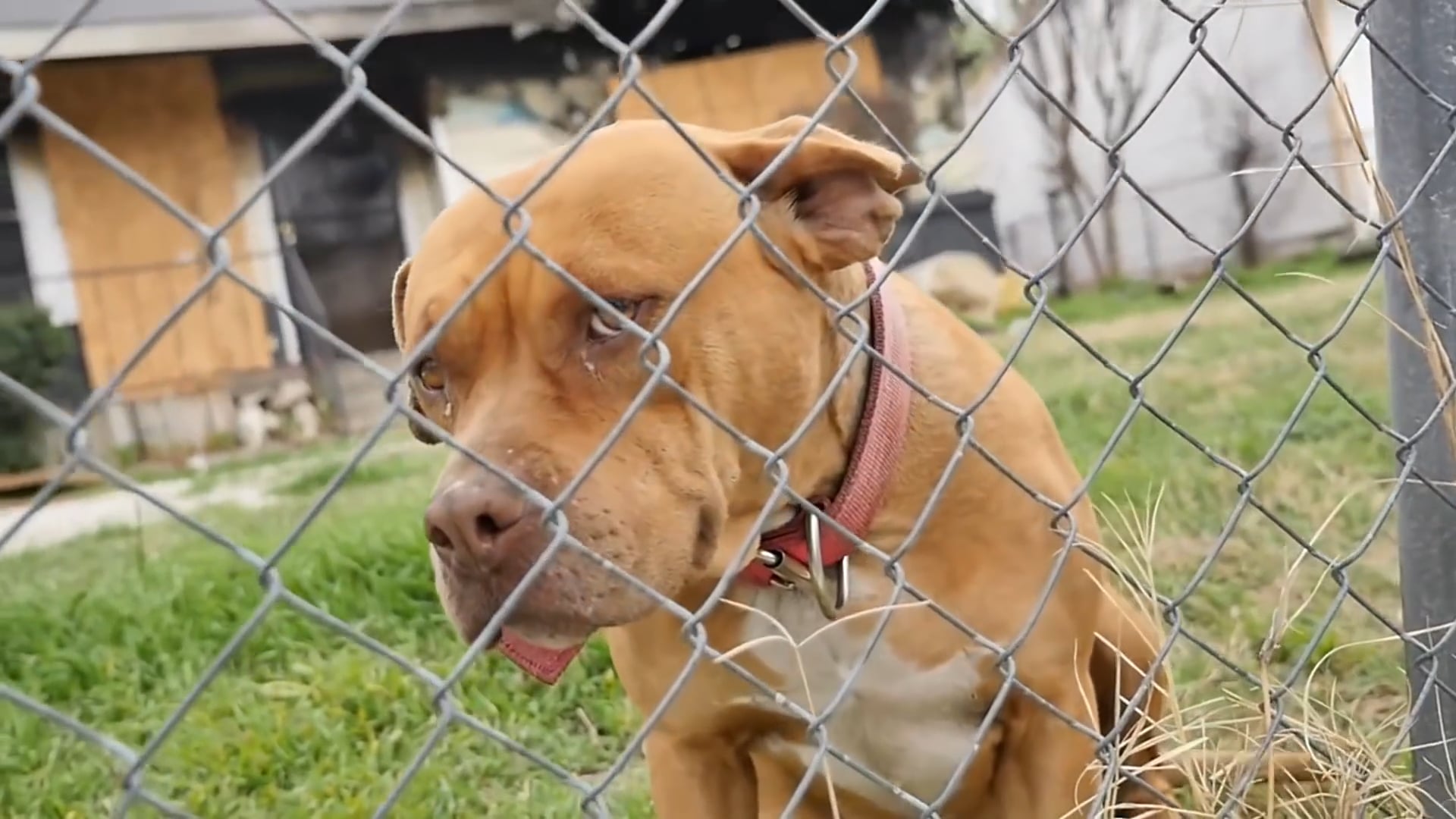 21 SAVAGE ADMITS TO DISRESPECTING WOMEN IN MUSIC FOR MONEY