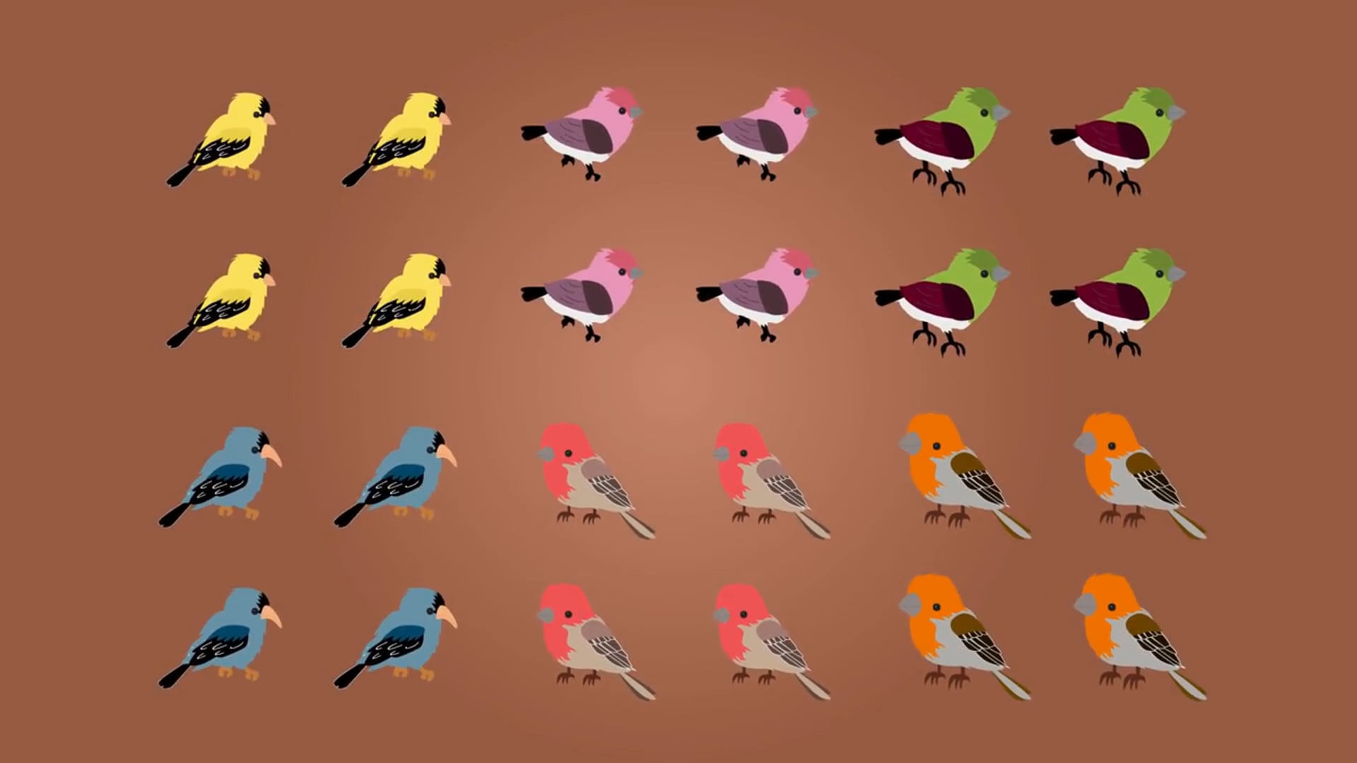 Evolution by Natural Selection - Darwin's Finches 