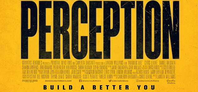 PERCEPTION (CINEMATIC MODE)