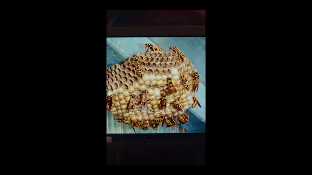 NIGHTSHADE - EP 10 (VERTICAL)