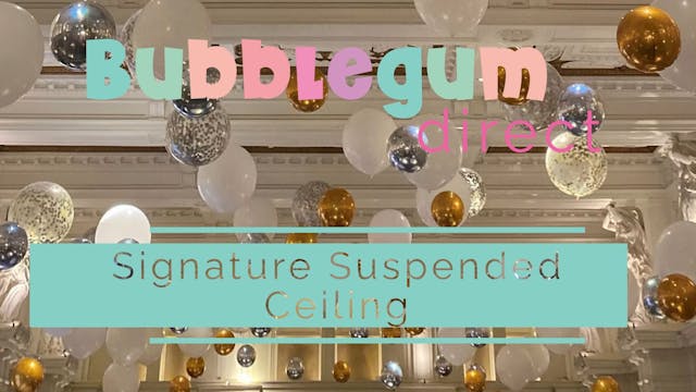 Signature Suspended Ceiling