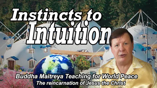 Sep 4 - Instincts to Intuition