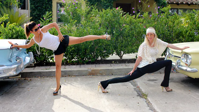 The Full Album: Complete Vinyasa Collection